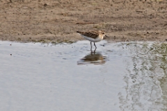 C6D_2013_08_15-08_40_15-2925