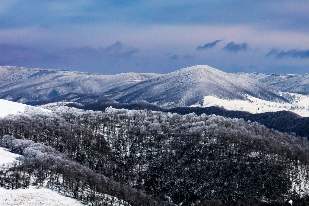 5D4_2019_01_15-12_19_58-4518.jpg