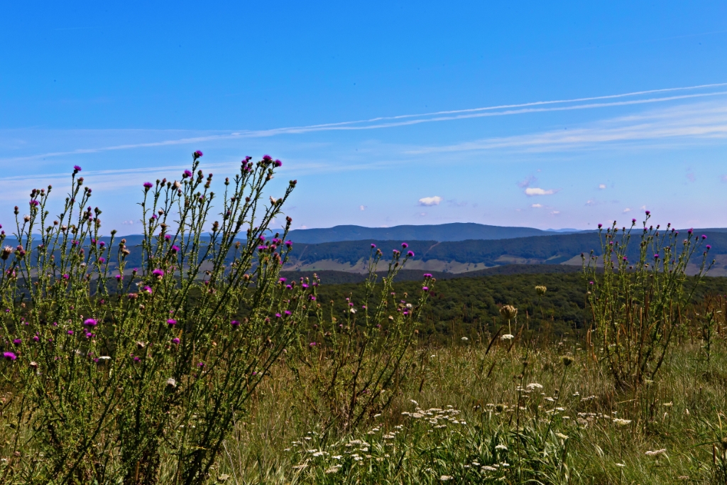 C6D_2013_09_07-12_04_31-3471.jpg