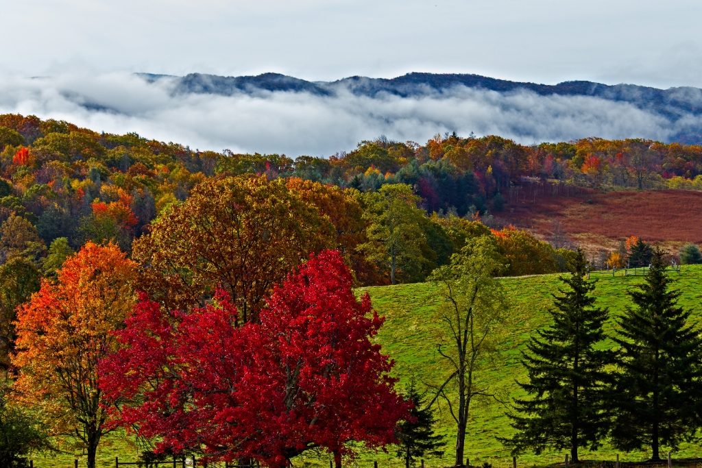 C6D_2013_10_15-09_00_32-4046.jpg