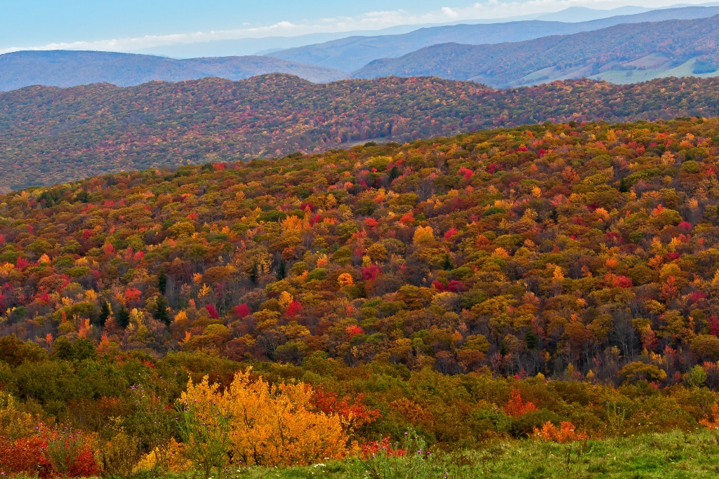 C6D_2013_10_15-10_47_16-4086-2.jpg