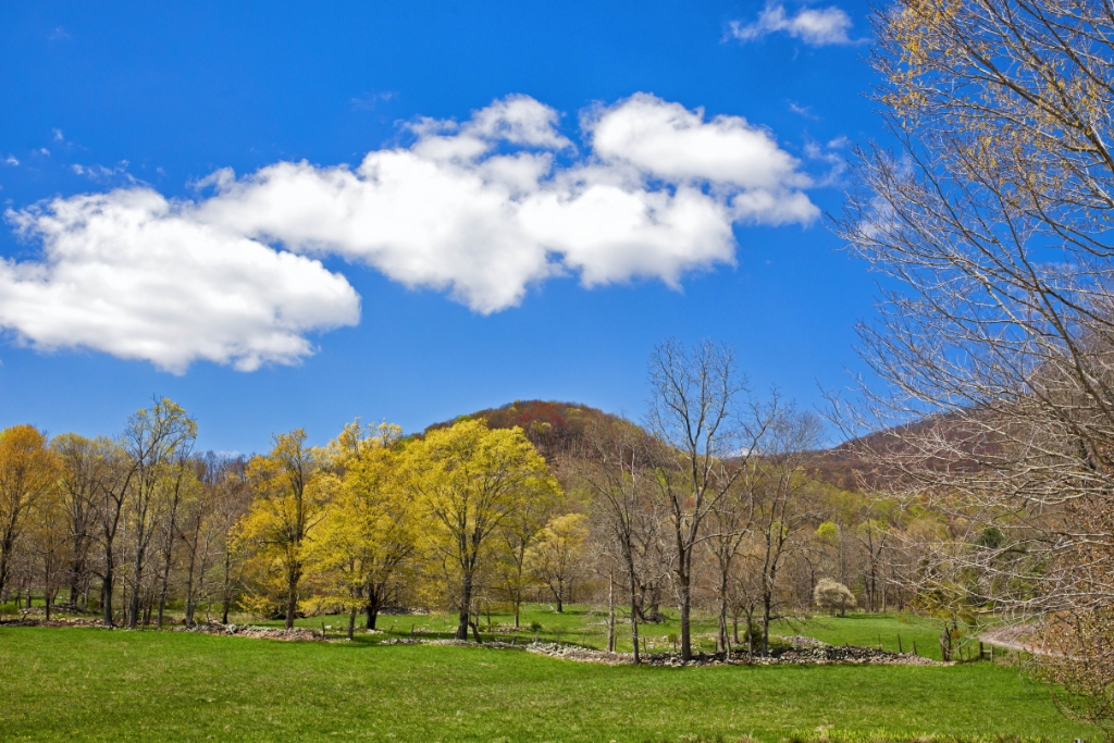 C6D_2015_04_28-11_08_01-7464.jpg