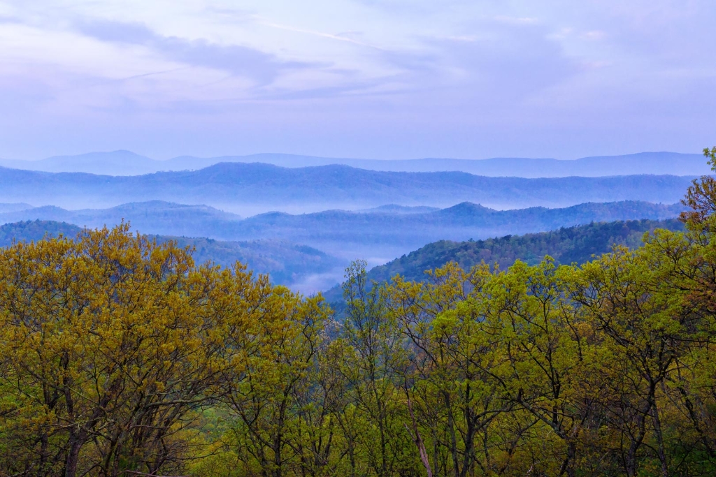 C6D_2015_05_08-05_18_23-7839w.jpg