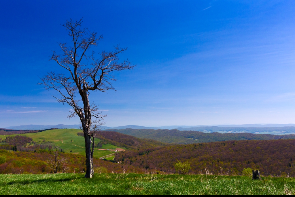 C6D_2015_05_14-10_52_53-7987.jpg