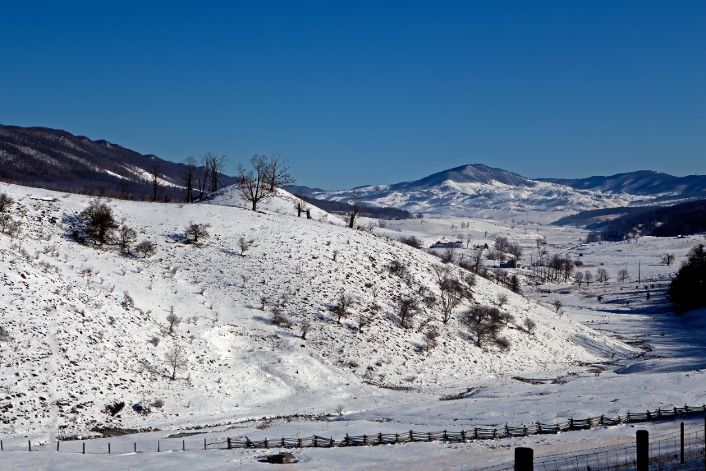 C6D_img_5399a.jpg
