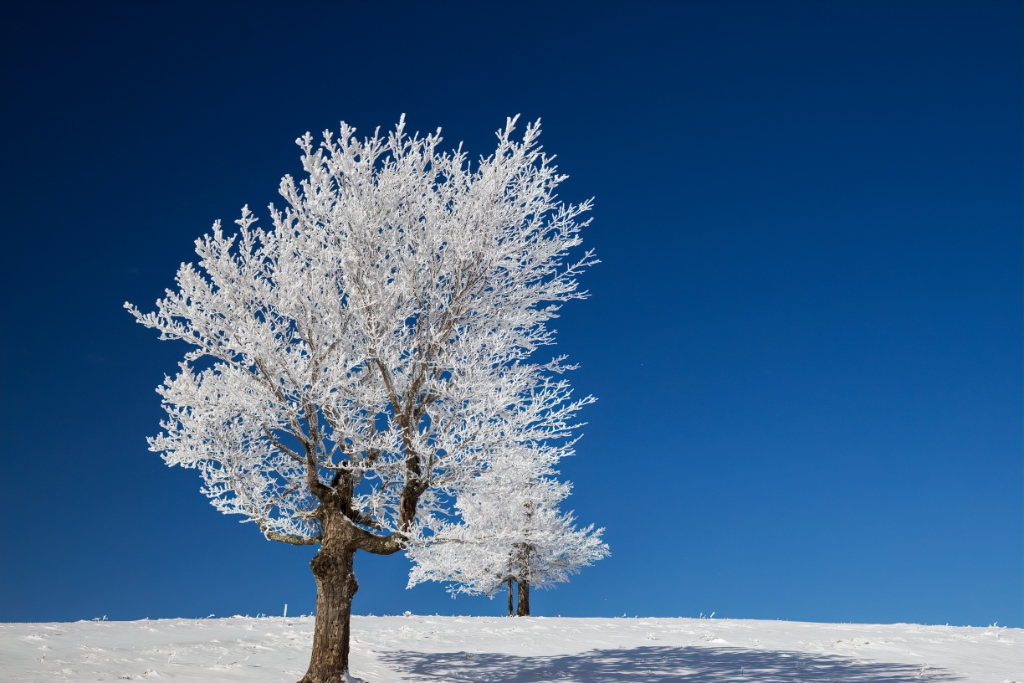 EOSR__2019_01_15_16_25-8192.jpg