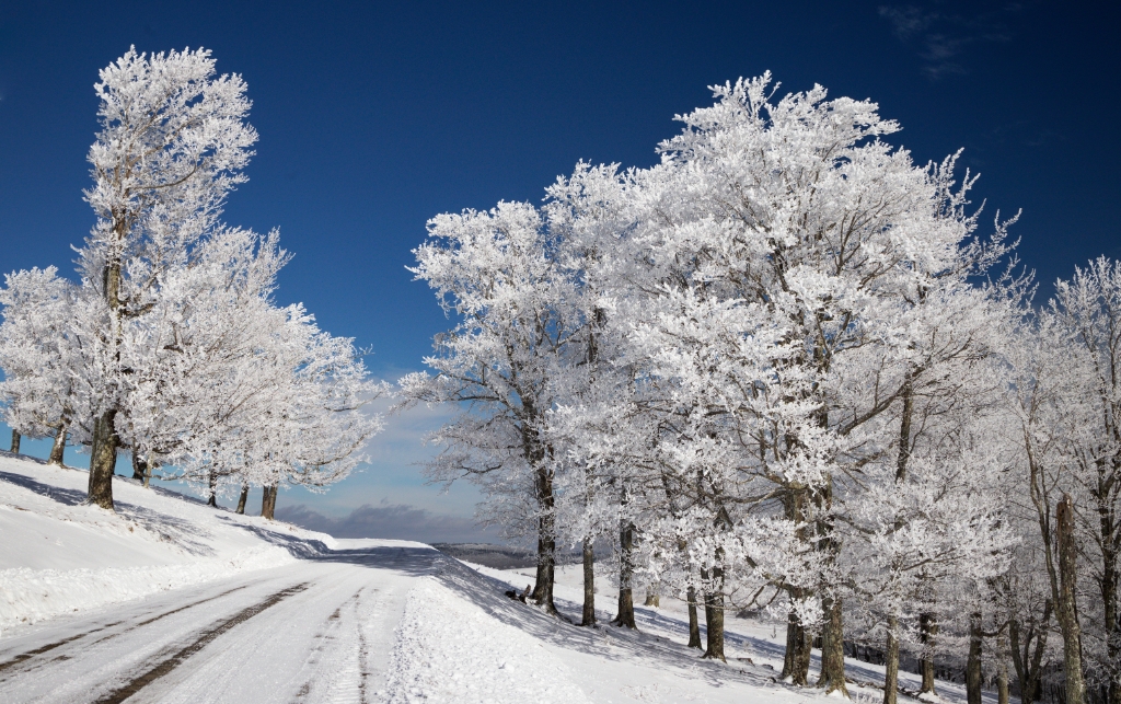EOSR__2019_01_15_16_25-8205.jpg