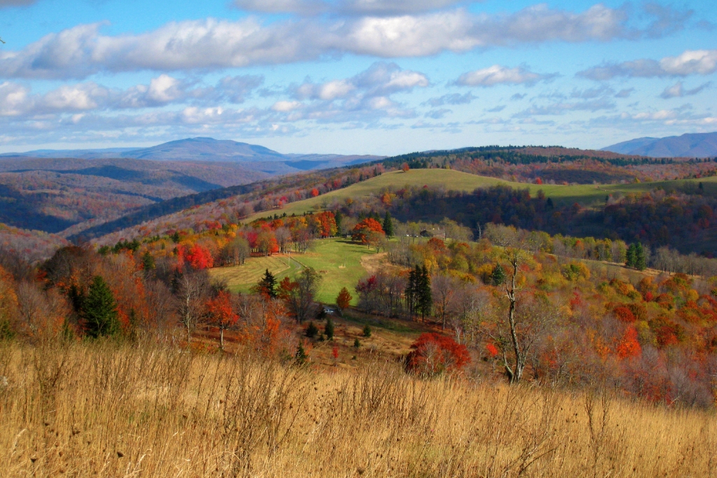 SD87_0118.jpg