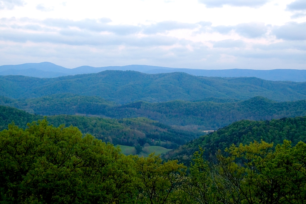 _MG_4320.jpg
