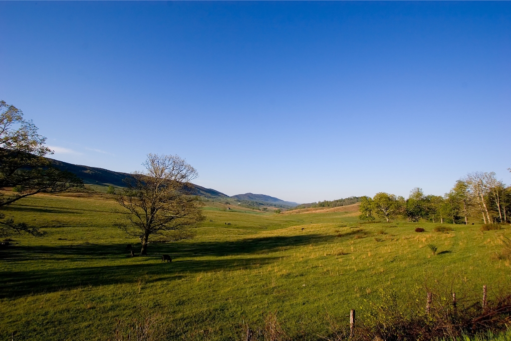_MG_4365.jpg