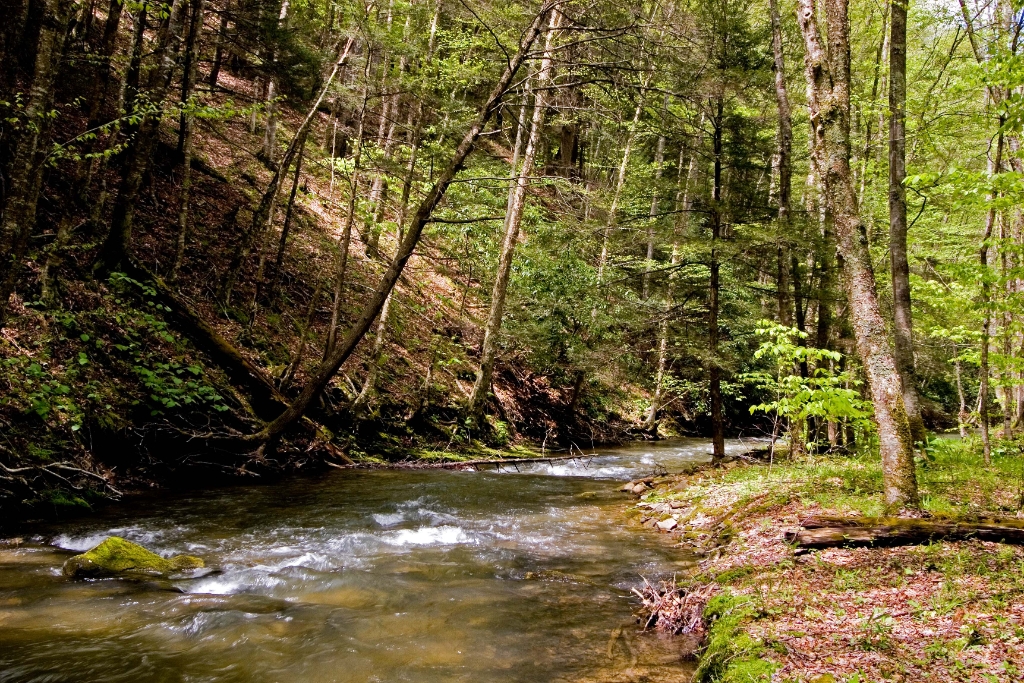 _MG_4389.jpg