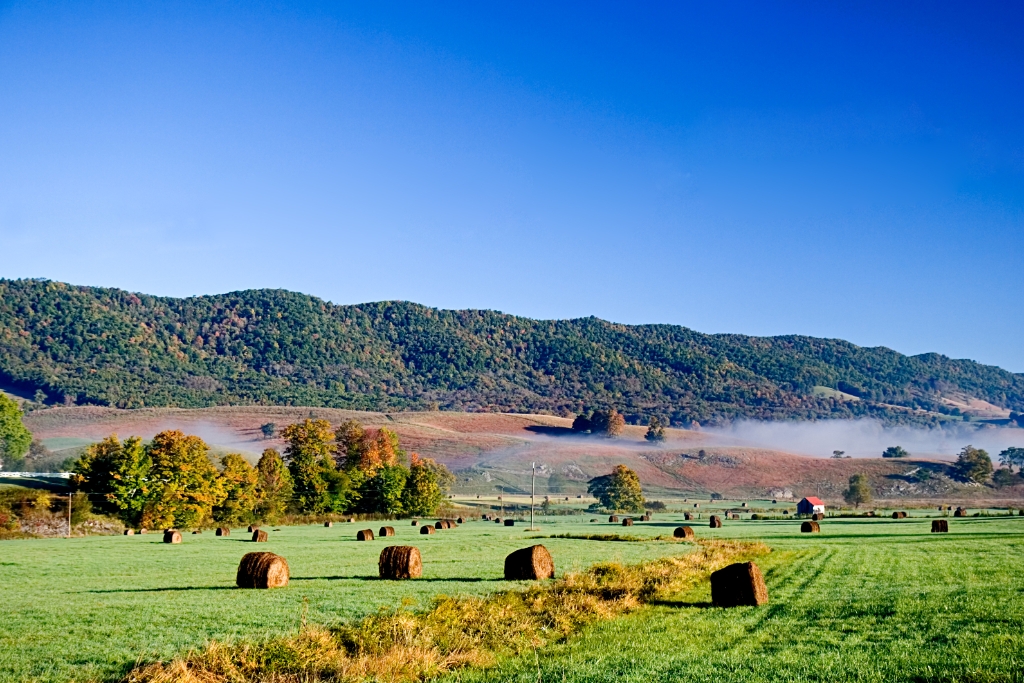 _MG_6451.jpg