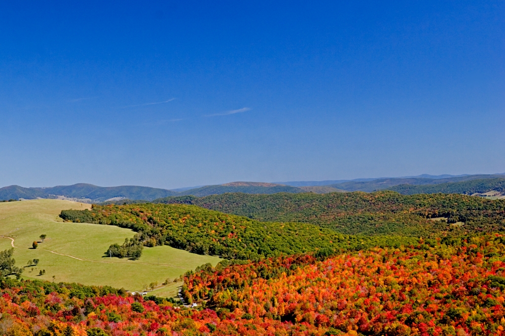_MG_6542.jpg