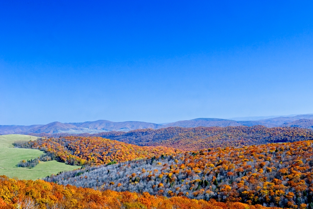 _MG_6805.jpg