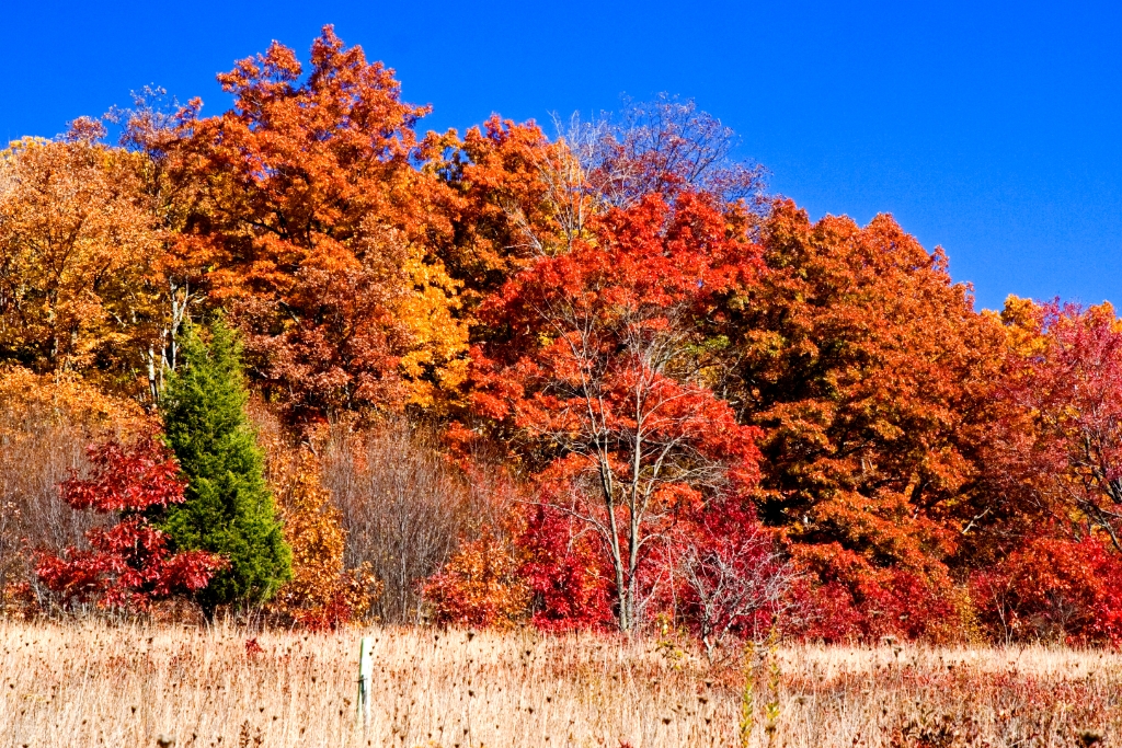_MG_6829.jpg