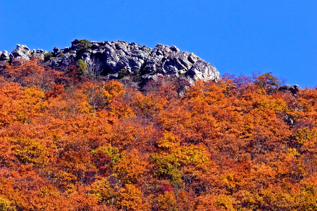 _MG_6841.jpg