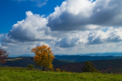 1DX2_2017_09_21-10_30_39-9649