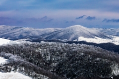 5D4_2019_01_15-12_19_58-4518