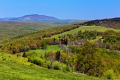C6D_2013_05_26-11_46_52-0147