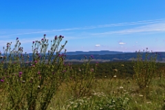 C6D_2013_09_07-12_04_31-3471