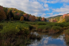 C6D_2013_10_02-08_37_11-4001