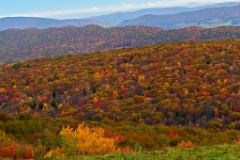 C6D_2013_10_15-10_47_16-4086-2