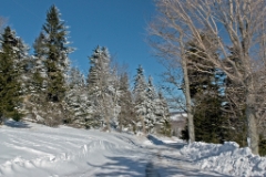 CRW_3650