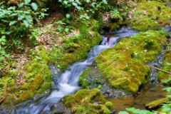 _MG_5730v